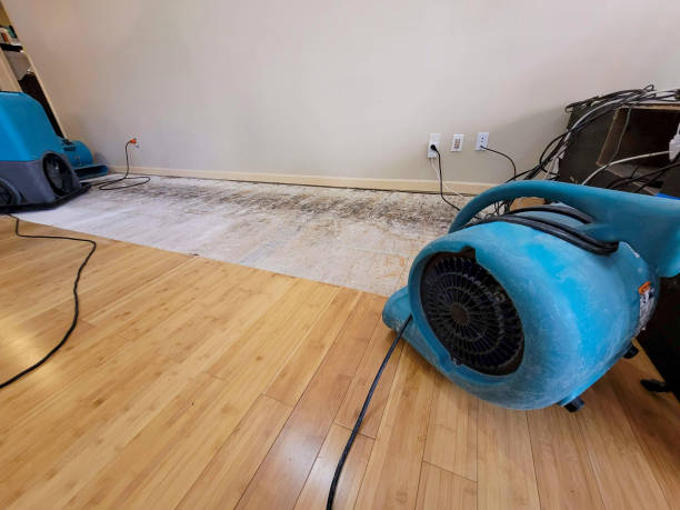 Professional Emergency Water Damage technician working in Arcadia, WI